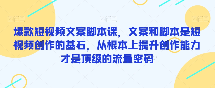 爆款短视频文案脚本课，文案和脚本是短视频创作的基石，从根本上提升创作能力才是顶级的流量密码-辉硕副业