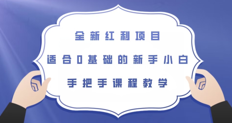 全新红利项目，适合0基础的新手小白，手把手课程教学【揭秘】-辉硕副业