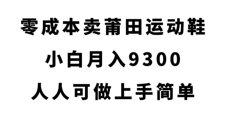 零成本卖莆田运动鞋，小白月入9300，人人可做上手简单【揭秘】-辉硕副业