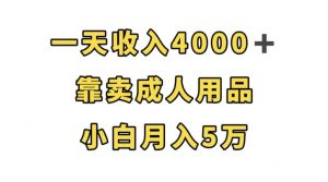 一天收入4000+,靠卖成人用品,小白轻松月入5万【揭秘】-辉硕副业