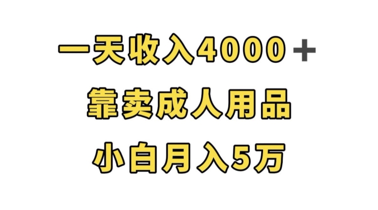一天收入4000+，靠卖成人用品，小白轻松月入5万【揭秘】-辉硕副业
