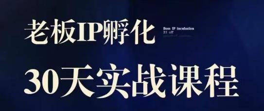 诸葛·2023老板IP实战课，实体同城引流获客，IP孵化必听-辉硕副业