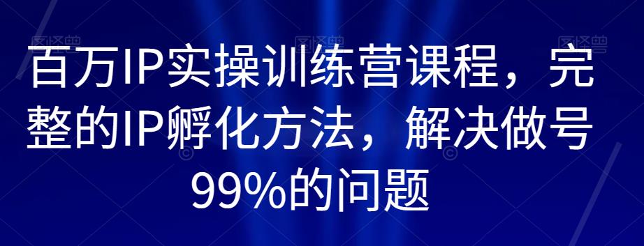 百万IP实操训练营课程，完整的IP孵化方法，解决做号99%的问题-辉硕副业