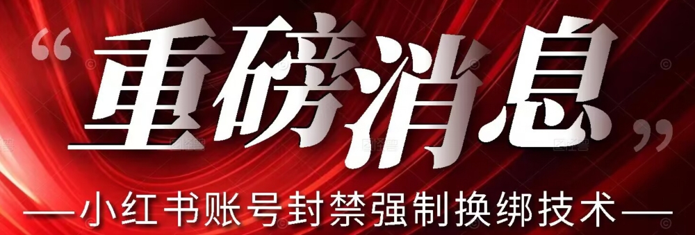 【最新】小红书账号封禁强制换绑技术可日赚300-辉硕副业