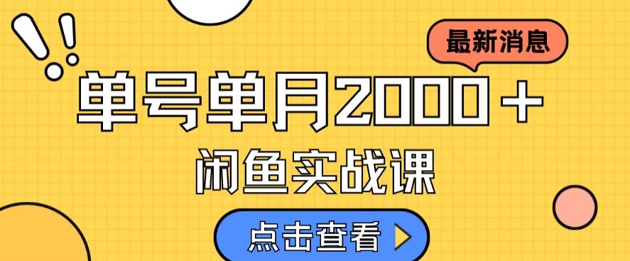 最新闲鱼日入500＋，虚拟资料变现喂饭级讲解-辉硕副业