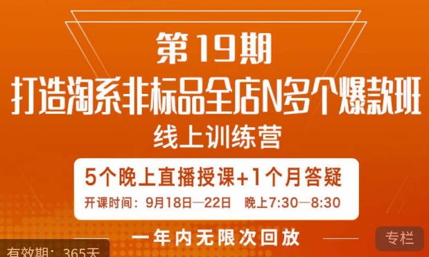 打造淘系非标全店N多个爆款线上课，​5天直播课-辉硕副业
