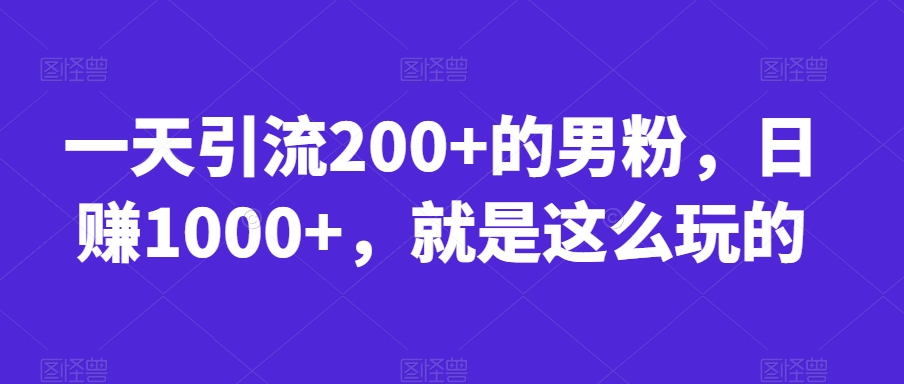 一天引流200+的男粉，日赚1000+，就是这么玩的【揭秘】-辉硕副业