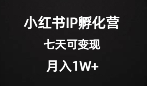 价值2000+的小红书IP孵化营项目，超级大蓝海，七天即可开始变现，稳定月入1W+-辉硕副业
