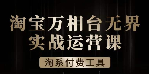 沧海·淘系万相台无界实战运营课，万相台无界实操全案例解析-辉硕副业