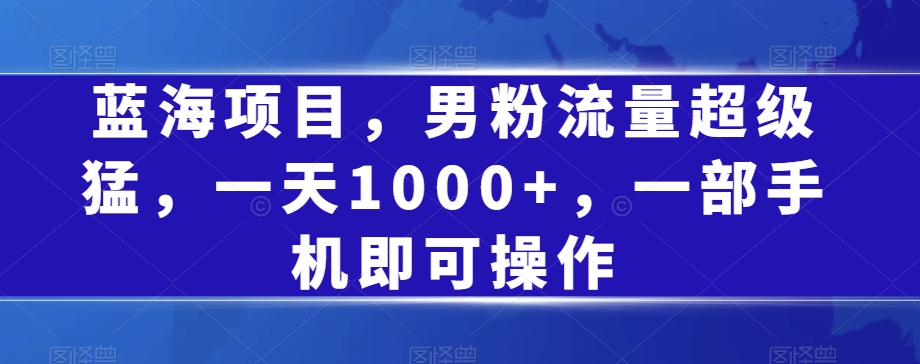蓝海项目，男粉流量超级猛，一天1000+，一部手机即可操作【揭秘】-辉硕副业