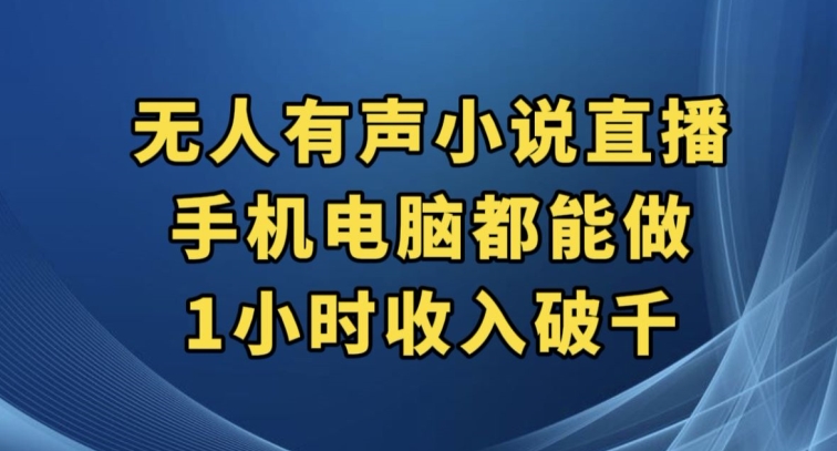 抖音无人有声小说直播，手机电脑都能做，1小时收入破千【揭秘】-辉硕副业