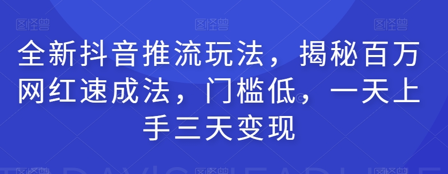 全新抖音推流玩法，揭秘百万网红速成法，门槛低，一天上手三天变现-辉硕副业