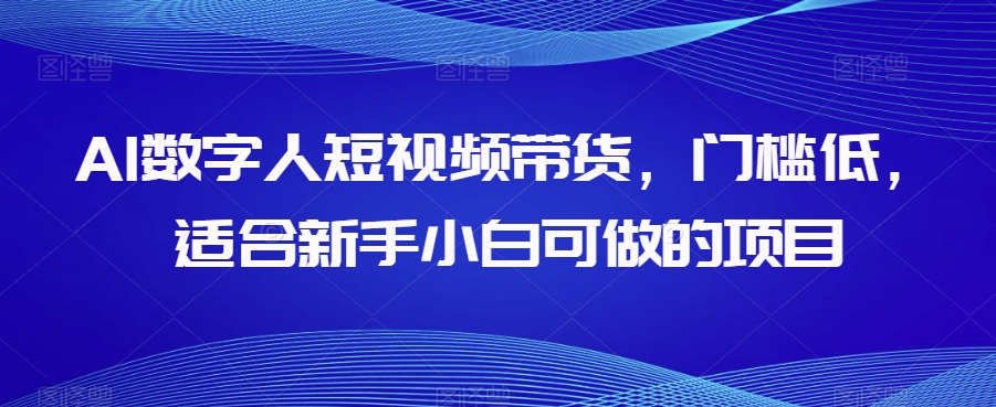 AI数字人短视频带货，门槛低，适合新手小白可做的项目-辉硕副业