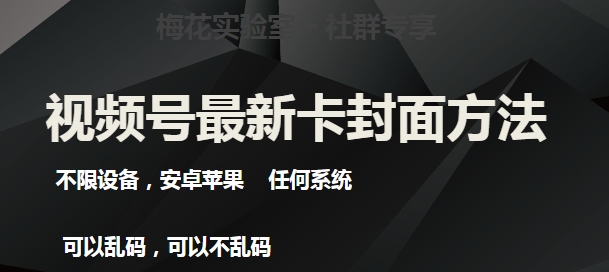 梅花实验室社群最新卡封面玩法3.0，不限设备，安卓苹果任何系统-辉硕副业