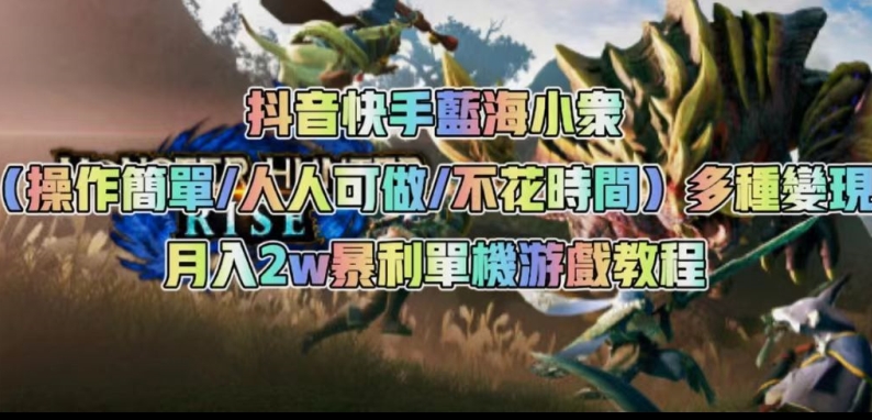 抖音快手蓝海小众（操作简单人人可做不花时间）多种变现月入2w＋暴利单机游戏教程-辉硕副业