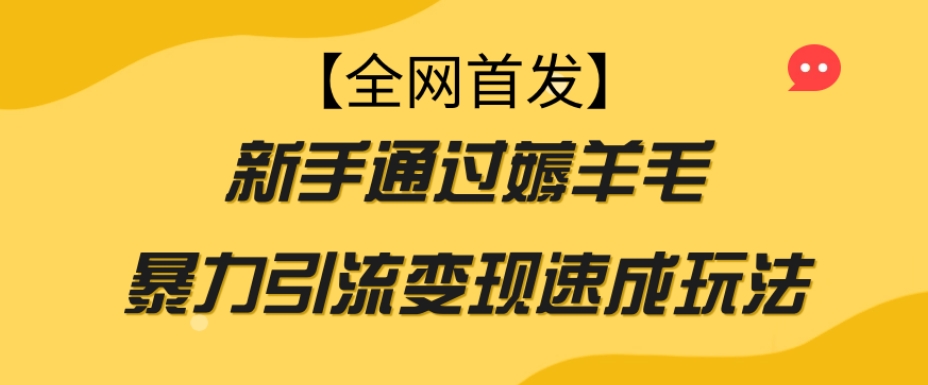 【全网首发】新手通过薅羊毛暴力引流变现速成玩法-辉硕副业