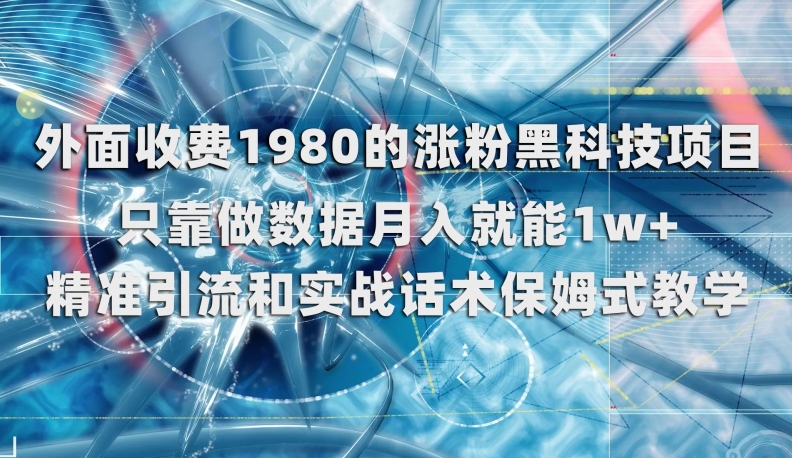 外面收费1980的涨粉黑科技项目，只靠做数据月入就能1w+【揭秘】-辉硕副业