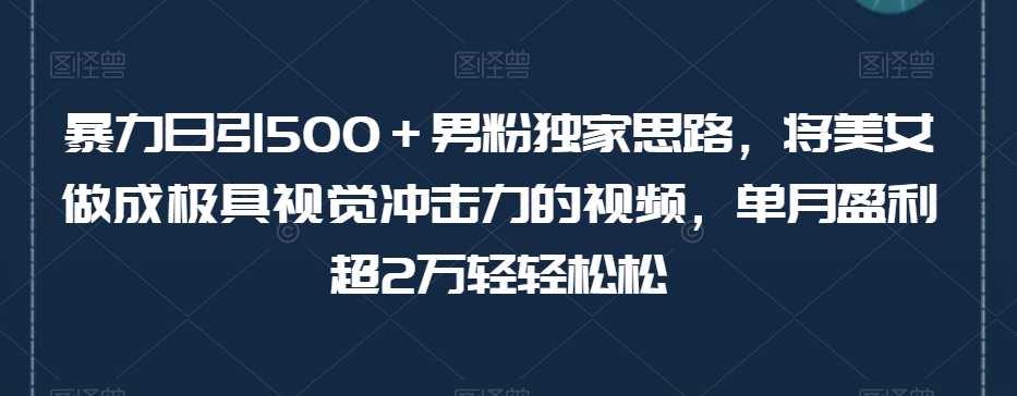 暴力日引500＋男粉独家思路，将美女做成极具视觉冲击力的视频，单月盈利超2万轻轻松松-辉硕副业