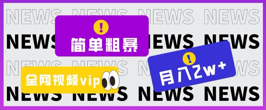 简单粗暴零成本，高回报，全网视频VIP掘金项目，月入2万＋【揭秘】-辉硕副业