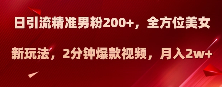 日引流精准男粉200+，全方位美女新玩法，2分钟爆款视频，月入2w+【揭秘】-辉硕副业