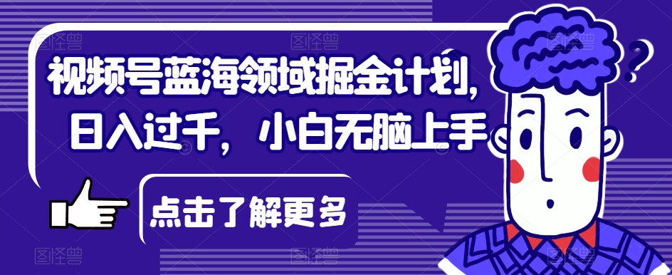 视频号蓝海领域掘金计划，日入过千，小白无脑上手【揭秘】-辉硕副业