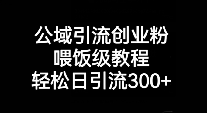 公域引流创业粉，喂饭级教程，轻松日引流300+【揭秘】-辉硕副业