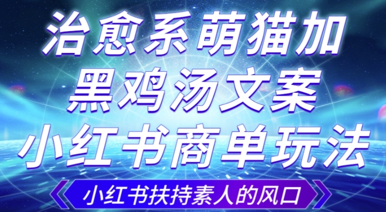 治愈系萌猫加+黑鸡汤文案，小红书商单玩法，3~10天涨到1000粉，一单200左右-辉硕副业