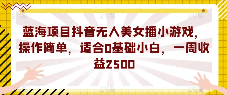 蓝海项目抖音无人美女播小游戏，操作简单，适合0基础小白，一周收益2500【揭秘】-辉硕副业