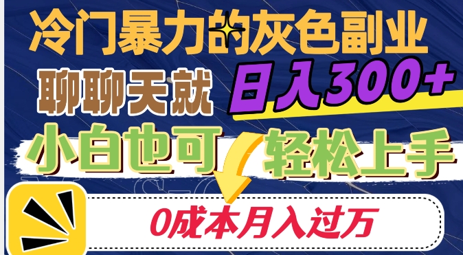 冷门暴利的副业项目，聊聊天就能日入300+，0成本月入过万【揭秘】-辉硕副业