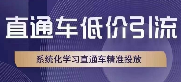 直通车低价引流课，系统化学习直通车精准投放-辉硕副业