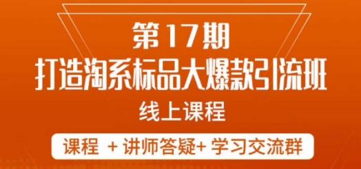 南掌柜-第17期打造淘系标品大爆款，5天线上课-辉硕副业