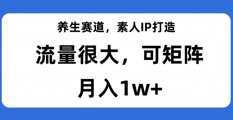 养生赛道，素人IP打造，流量很大，可矩阵，月入1w+【揭秘】-辉硕副业