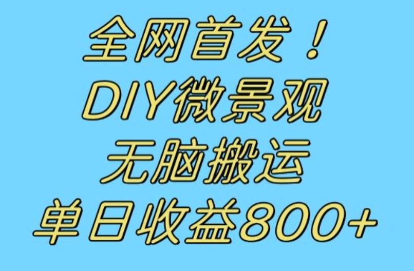全网首发冷门赛道！DIY微景观，无脑搬运视频，日收益800+【揭秘】-辉硕副业