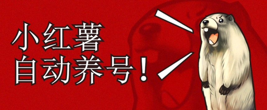 小红书养号秘籍，如何自动涨粉清晰系统标签打造高权重账号【揭秘】-辉硕副业