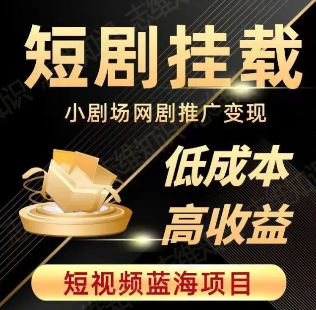 2023短视频蓝海项目，抖音快手短剧推广变现教程，低成本高收益-辉硕副业