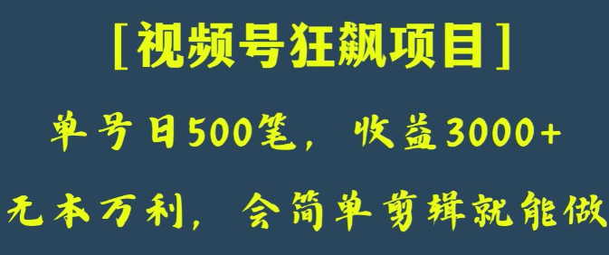 日收款500笔，纯利润3000+，视频号狂飙项目，会简单剪辑就能做【揭秘】-辉硕副业