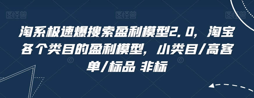 淘系极速爆搜索盈利模型2.0，淘宝各个类目的盈利模型，小类目/高客单/标品 非标-辉硕副业