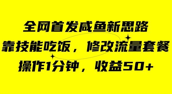 咸鱼冷门新玩法，靠“技能吃饭”，修改流量套餐，操作1分钟，收益50【揭秘】-辉硕副业
