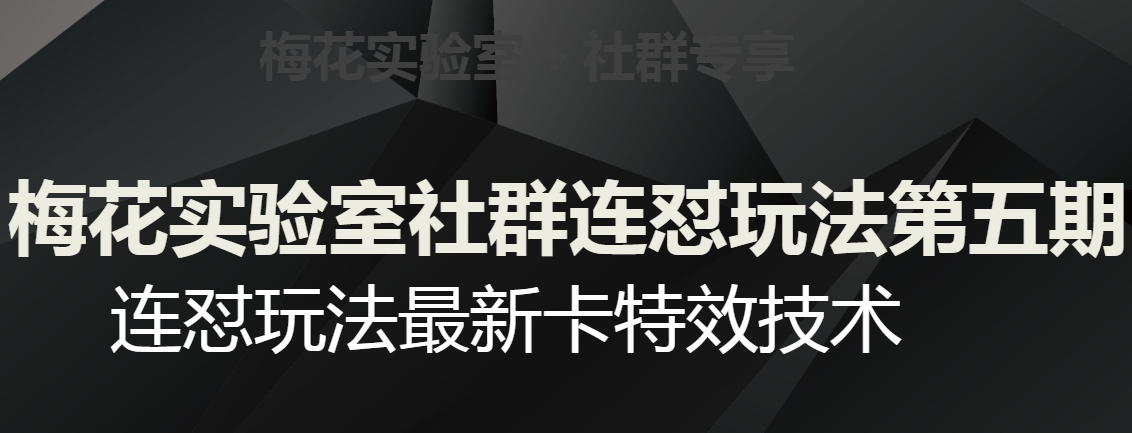 梅花实验室社群连怼玩法第五期，视频号连怼玩法最新卡特效技术-辉硕副业