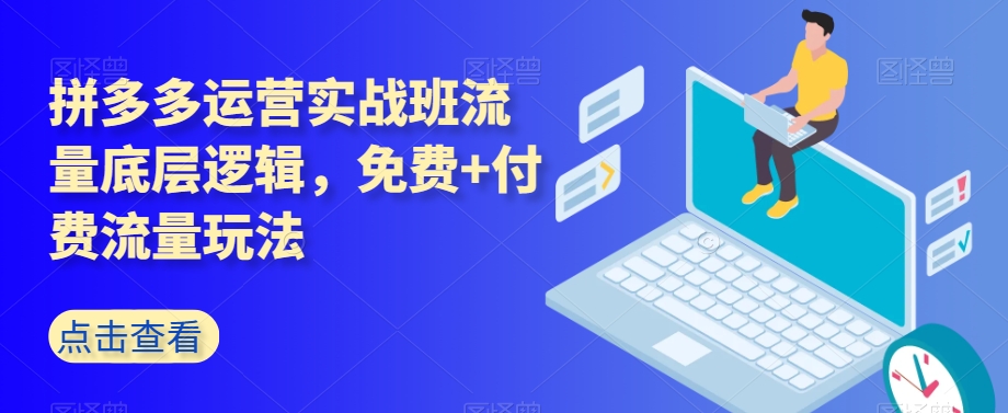 拼多多运营实战班流量底层逻辑，免费+付费流量玩法-辉硕副业