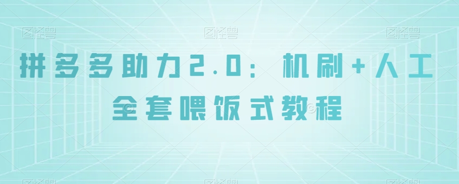 拼多多助力2.0：机刷+人工全套喂饭式教程【揭秘】-辉硕副业