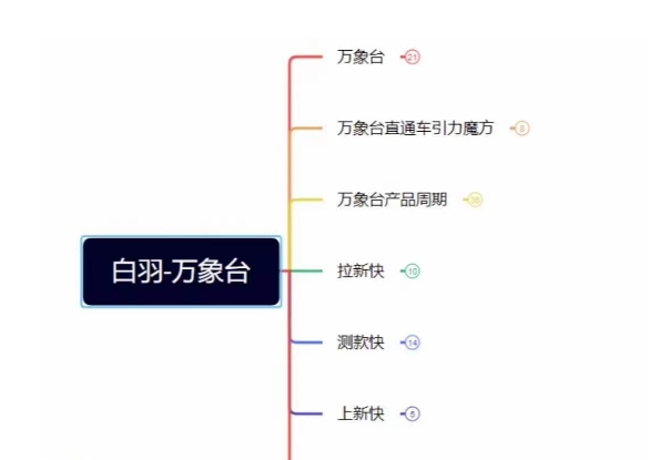 白羽·直引万搜索全篇，从0-1，多个类目实操经验总结付费-辉硕副业