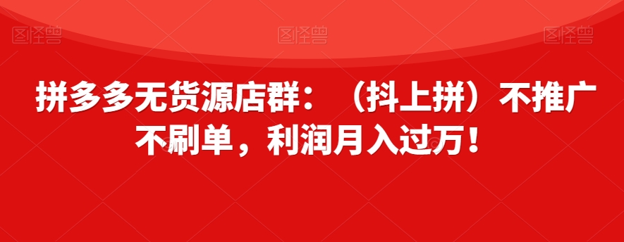 拼多多无货源店群：（抖上拼）不推广不刷单，利润月入过万！【揭秘】-辉硕副业