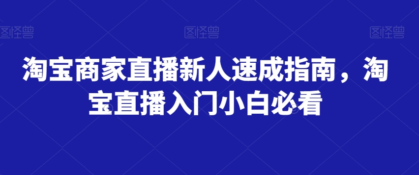 淘宝商家直播新人速成指南，淘宝直播入门小白必看-辉硕副业