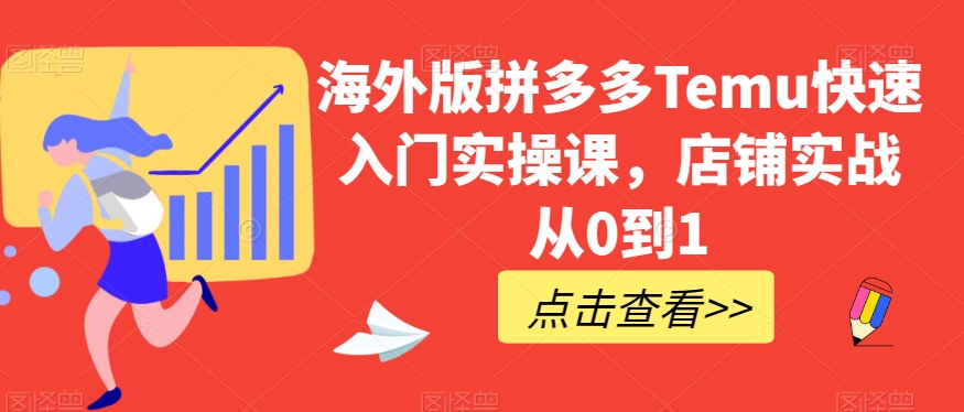 海外版拼多多Temu快速入门实操课，店铺实战从0到1-辉硕副业