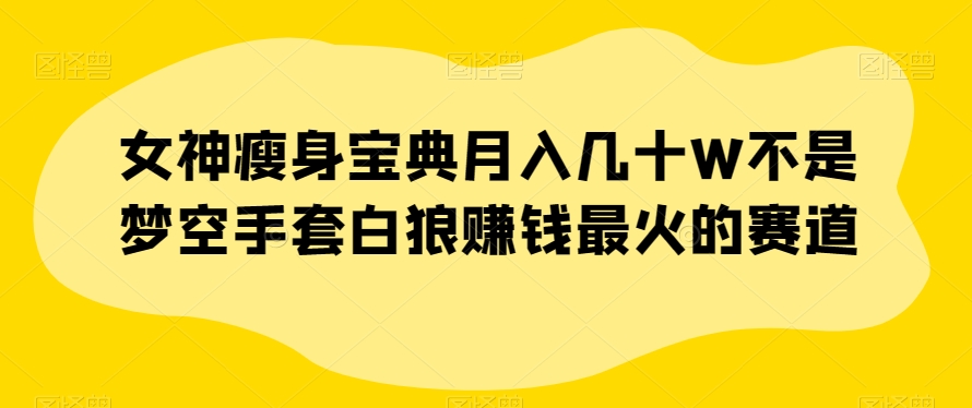 女神瘦身宝典月入几十W不是梦空手套白狼赚钱最火的赛道【揭秘】-辉硕副业