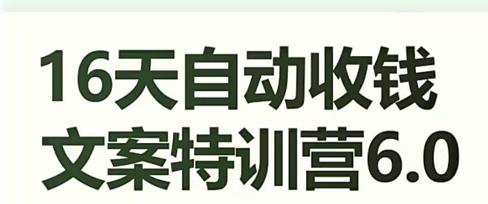 16天自动收钱文案特训营6.0，学会儿每天自动咔咔收钱-辉硕副业