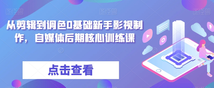 从剪辑到调色0基础新手影视制作，自媒体后期核心训练课-辉硕副业