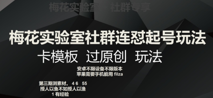 梅花实验室社群连怼起号玩法，卡模板过原创玩法【揭秘】-辉硕副业