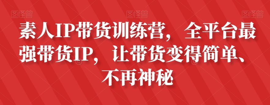素人IP带货训练营，全平台最强带货IP，让带货变得简单、不再神秘-辉硕副业